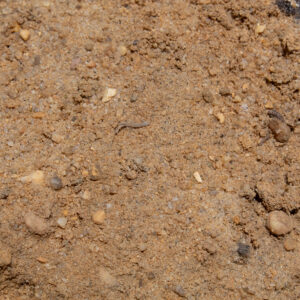 Fill Dirt